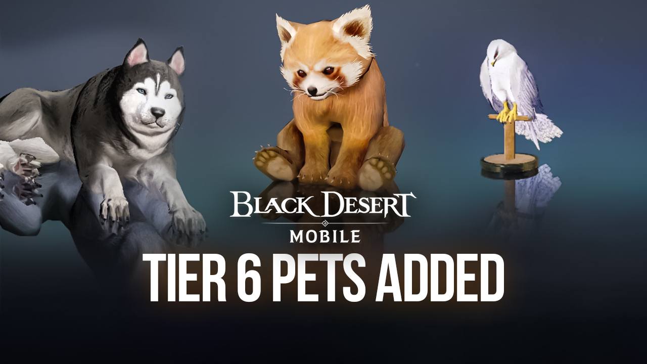 Black Desert Mobile com pets da Tier 6